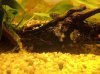 IMG_1390-klein.jpg