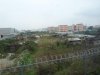 P1050719(1).JPG