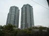 P1050716(1).JPG