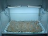 DSC08715.JPG