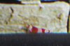 DSCN0902.JPG