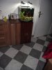 DSCF3359.JPG