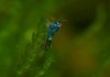 IMG_7486.jpg