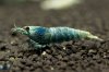 DSC07682.JPG