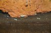 comp_DSC08376.jpg
