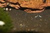 comp_DSC08401.jpg
