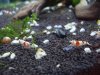 DSC08807.JPG