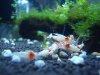 DSC08811.JPG