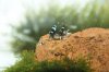 comp_DSC08453.jpg