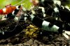 DSC07911.JPG