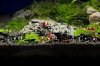 DSC07900.JPG