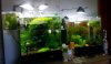 20120527_114005-2.jpg