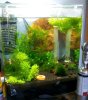 20120527_113954-1.jpg