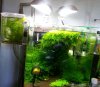 20120527_113909-1.jpg