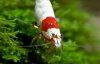 DSC08333.JPG