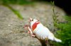 DSC08274.JPG