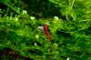 DSC08451.JPG