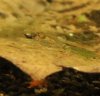 IMG_1724_cr.jpg