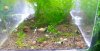 20120617_133413-1.jpg