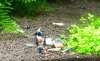20120617_135828-1.jpg
