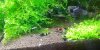 20120619_123439-1.jpg