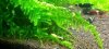 20120619_122620-2.jpg