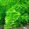 20120619_122724-1.jpg
