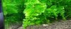 20120619_122738-1.jpg