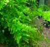 20120619_121719-1.jpg