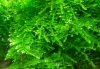 20120619_121739-1.jpg