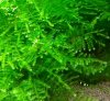 20120619_122032-1.jpg