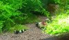 20120619_122810-1.jpg