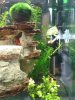 2012-06-18 20.18.35.jpg