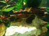 2012-06-19 10.57.32.jpg