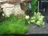 2012-06-19 15.49.08.jpg
