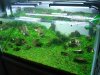 DSC08858.JPG