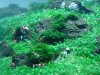 DSC08861.JPG