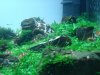 DSC08862.JPG