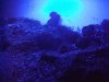 DSC08866.JPG