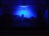 DSC08867.JPG