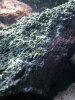 K800_20120624_173848.JPG