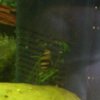 Schnecke.jpg