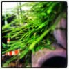 uploadfromtaptalk1341078400232.jpg