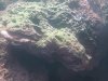 K1024_20120701_132531.JPG