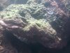 K1024_20120701_132611.JPG