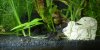 2012 07 08 Bild04.jpg