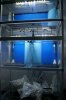 DSC08693.JPG