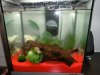 aquarium.jpg