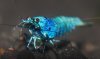 DSC_0575.jpg