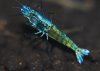 DSC_0588.jpg